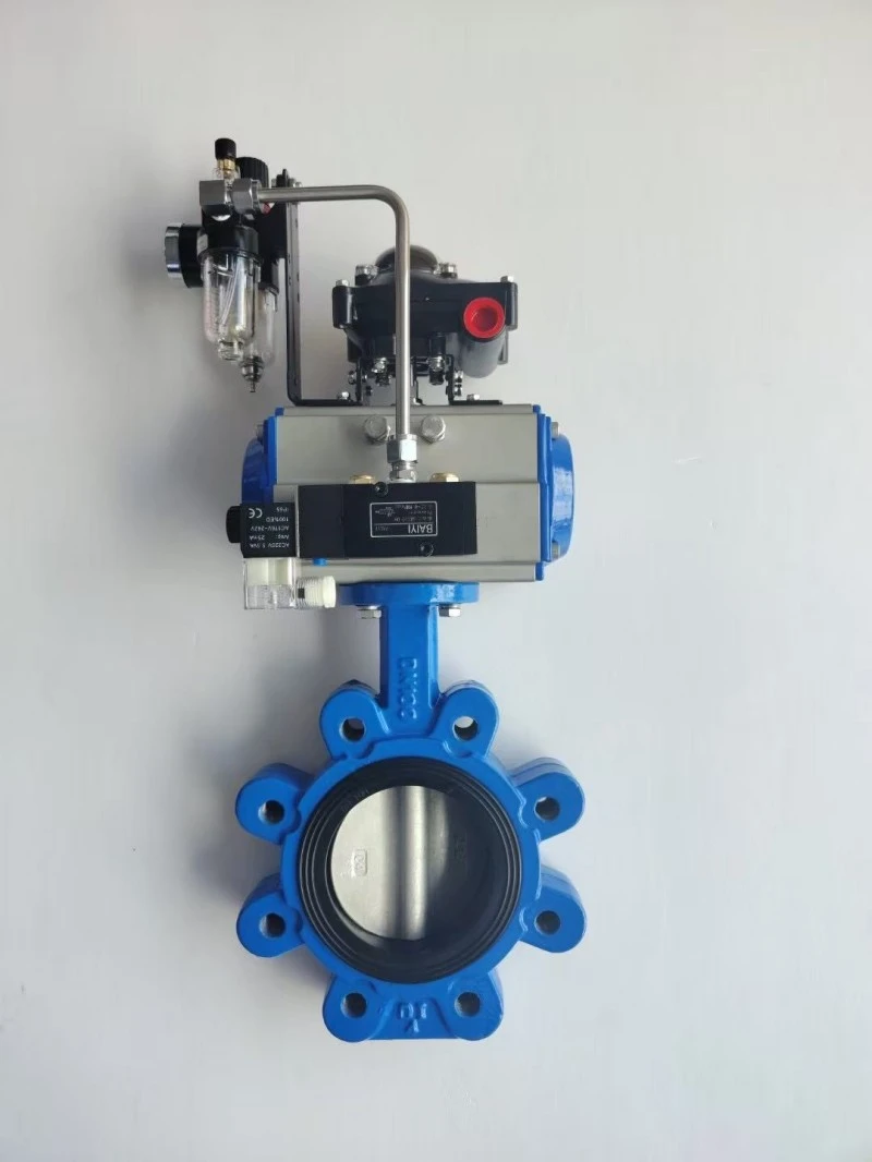Pneumatic Lug Wafer Concentric Butterfly Valve